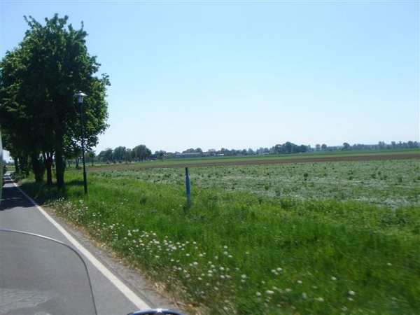 DSC01534 (2).JPG